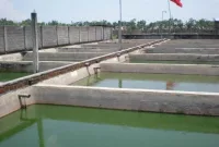 Biaya Pembuatan Kolam Ikan Beton