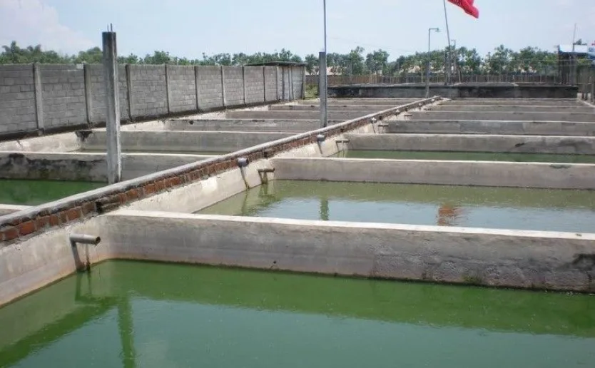 Biaya Pembuatan Kolam Ikan Beton